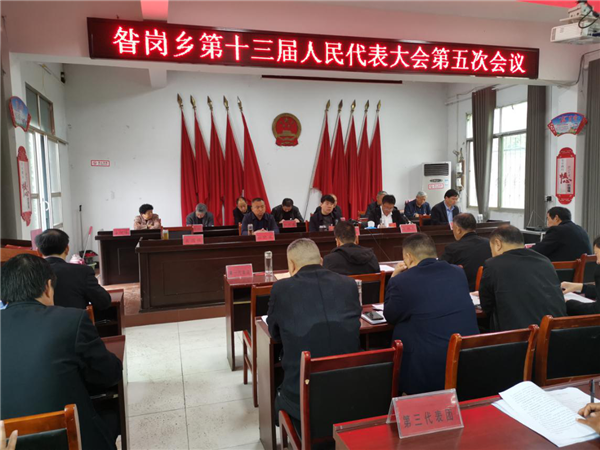 唐河昝岗乡第十三届人民代表大会第五次会议圆满召开