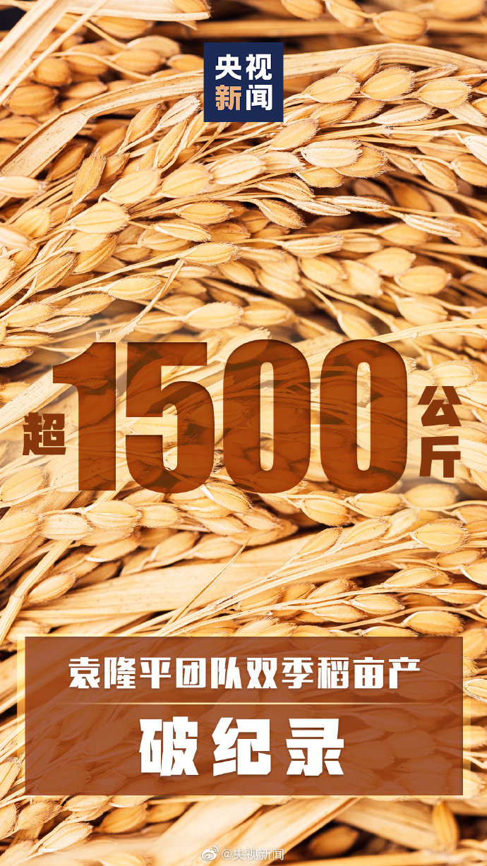 破纪录！袁隆平团队杂交水稻双季亩产突破1500公斤