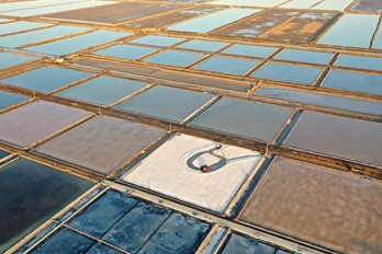 山东青岛：东风盐田收获忙