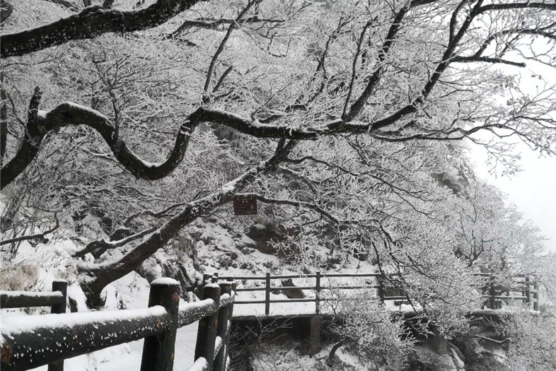 河南鲁山：初雪到 美景至