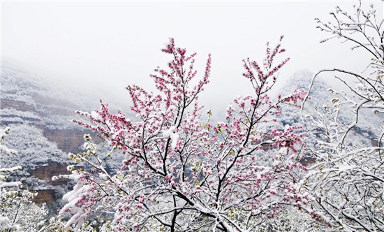 小雪时节丨来龙潭大峡谷邂逅最美的冬天