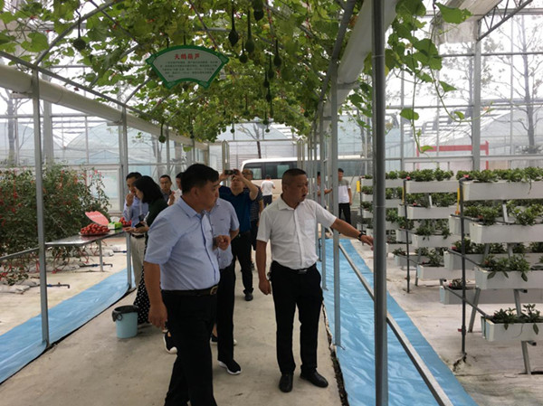 邓州市农业农村局:‘三模式” 培育种养循环产业力促县域经济发展