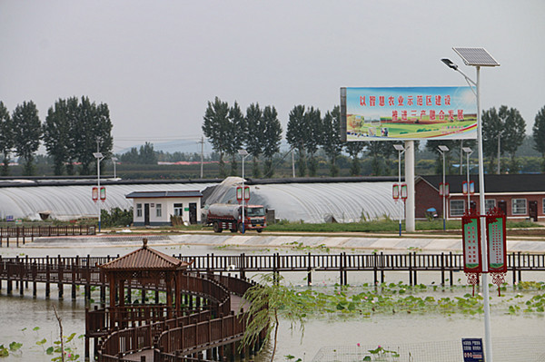 邓州市农业农村局:‘三模式” 培育种养循环产业力促县域经济发展