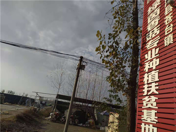 河南省唐河县苍台镇:创特色 促振兴 “三农”领域新进展