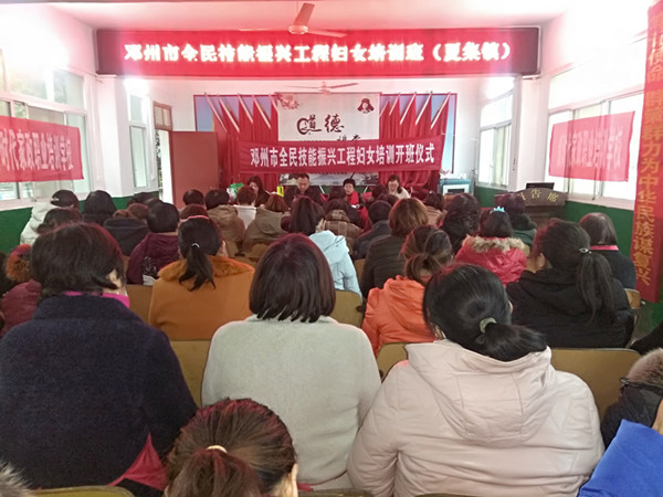 邓州市夏集镇“全民技能振兴工程妇女培训班”开讲了