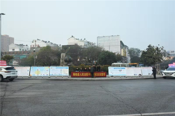 桐柏县法院开展平安建设宣传活动