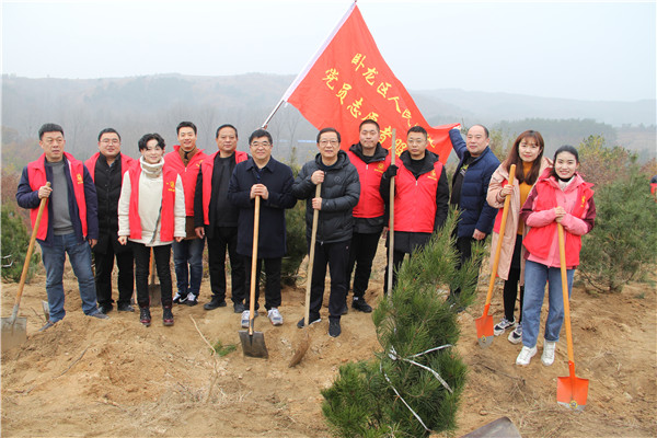 南阳卧龙区法院积极开展冬季植树活动