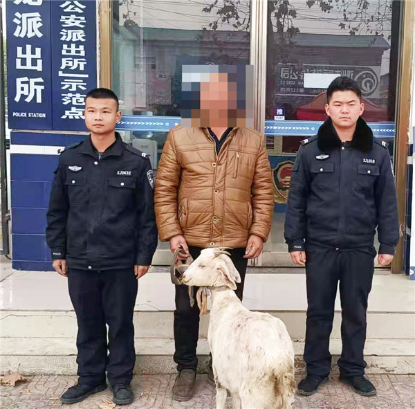 河南邓州：一只“退群”的山羊