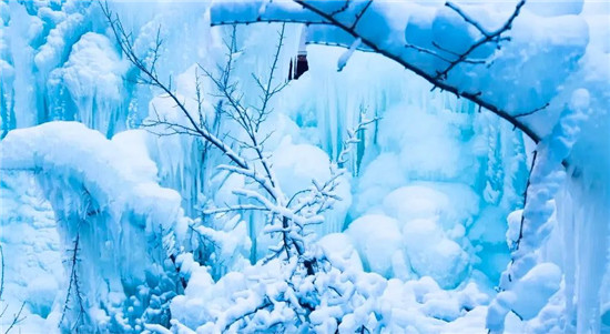 慕“冰”而来——龙潭大峡谷绝美冰花、冰挂、冰瀑奇观惊艳上线！