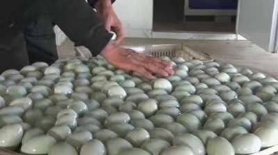 河南沈丘：“逆行”老兵再出发 “爱心馒头”送南宫