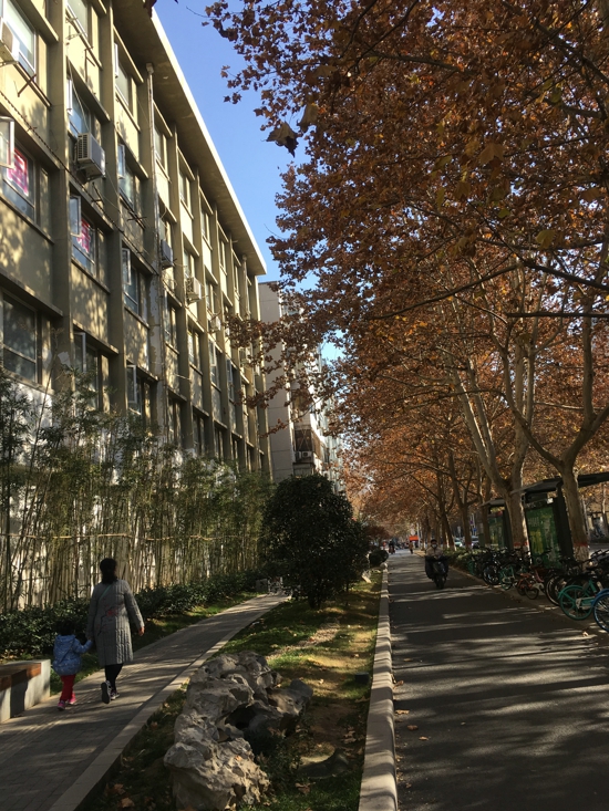 支部建在路上 民兵冲在前方 金水区党建引领克难攻坚 全力做好架空通信线缆入地整治工作