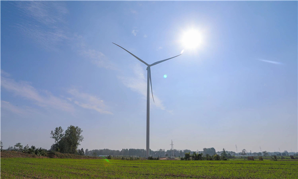 柘城：“大风车”转出绿色发展新动能
