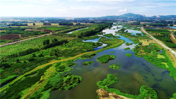 内乡县湍河湿地庆祝第25个世界湿地日宣传活动