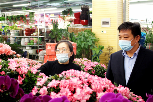 春节前夕，郑州陈砦花卉市场人气升温，鲜花绿植受青睐