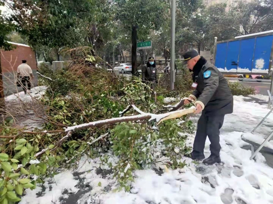大雪压断树枝隐患多 文化路办事处巡防队员及时抢险