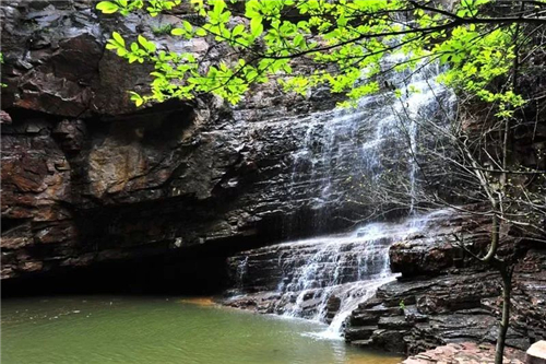 3月6日-8日妇女节期间，伏羲山旅游区对所有女性游客免收门票