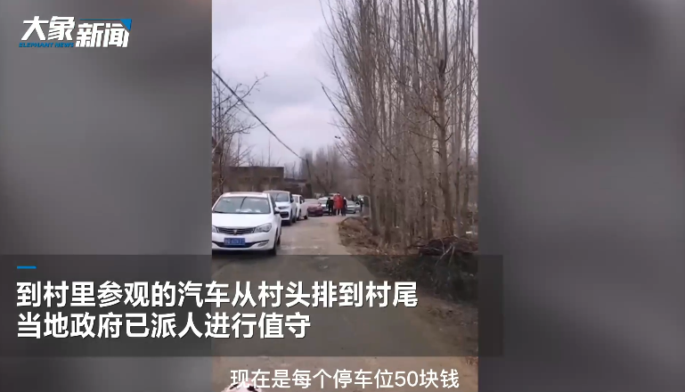 山东拉面哥走红后连续多日被围观：附近宾馆住满 汽车从村头排到村尾