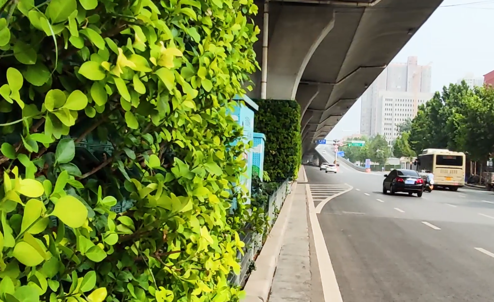 马路上的春天——道路绿化提升，城市更加美！