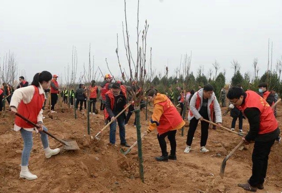 洛宁：开展第43个植树节活动 全民参与大员上阵
