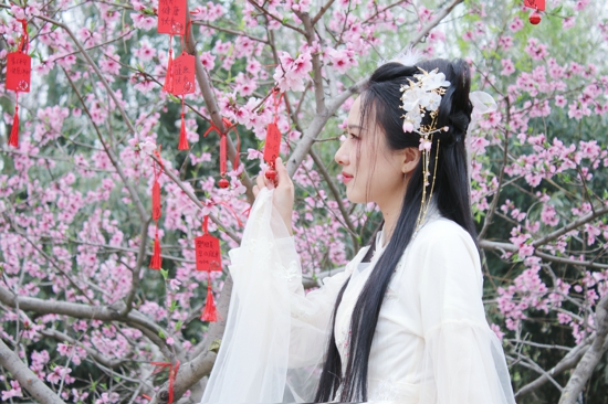 郑州市动物园第七届桃花文化节开幕 穿汉服免票入园