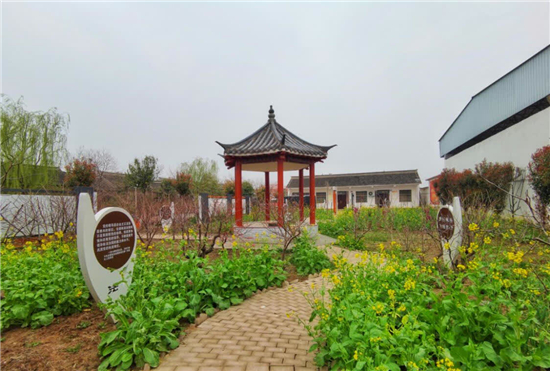 河南太康：村美民富乡风淳