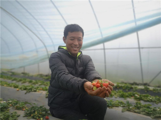 河南太康：村美民富乡风淳