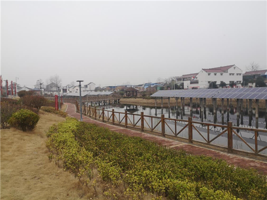 河南太康：村美民富乡风淳