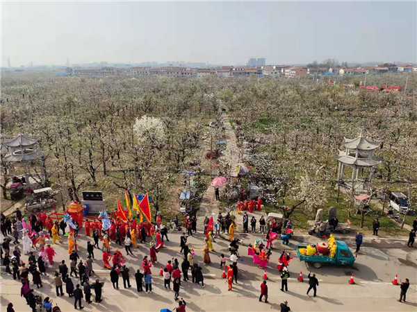 中国•宁陵第十八届梨花节开幕