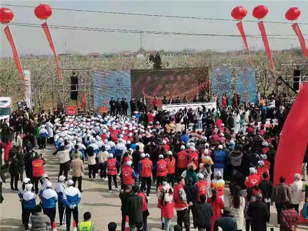 中国•宁陵第十八届梨花节开幕