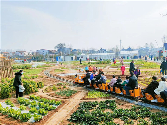 2021年首届开封爱思嘉·油菜花节即将启幕，千米风筝现场放飞！