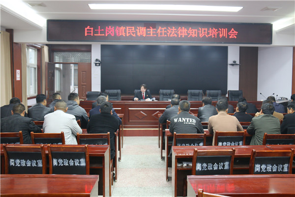 南召县法院白土岗法庭开展民调主任法律知识培训会