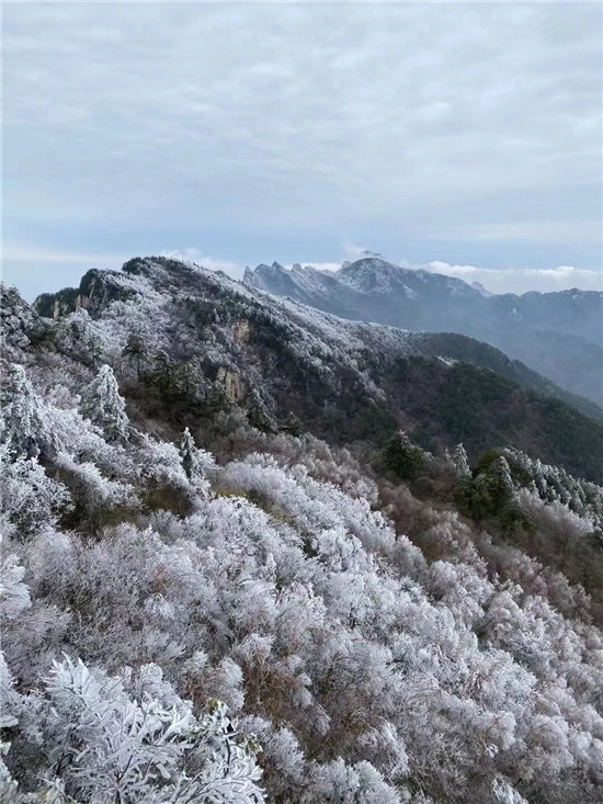 河南白云山：清明时节“雪”纷纷，现白雪、雾凇、冰挂、云海奇观！