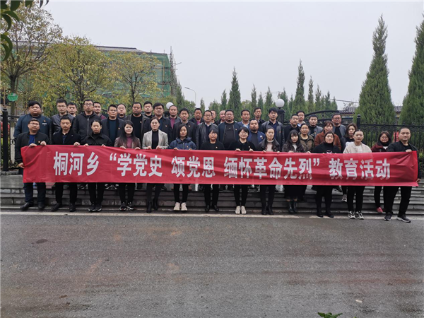 唐河县桐河乡：学党史颂党恩 缅怀革命先烈