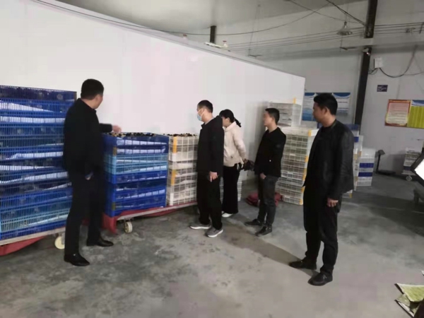 汝南县政协委员到王岗镇调研来料加工厂房运行情况