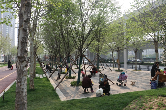 郑州金水区打造“最美”北三环 扮靓城市“颜值” 提升群众幸福感