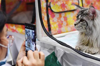 2021中部（郑州）宠物水族博览会举行 300余家品牌参展