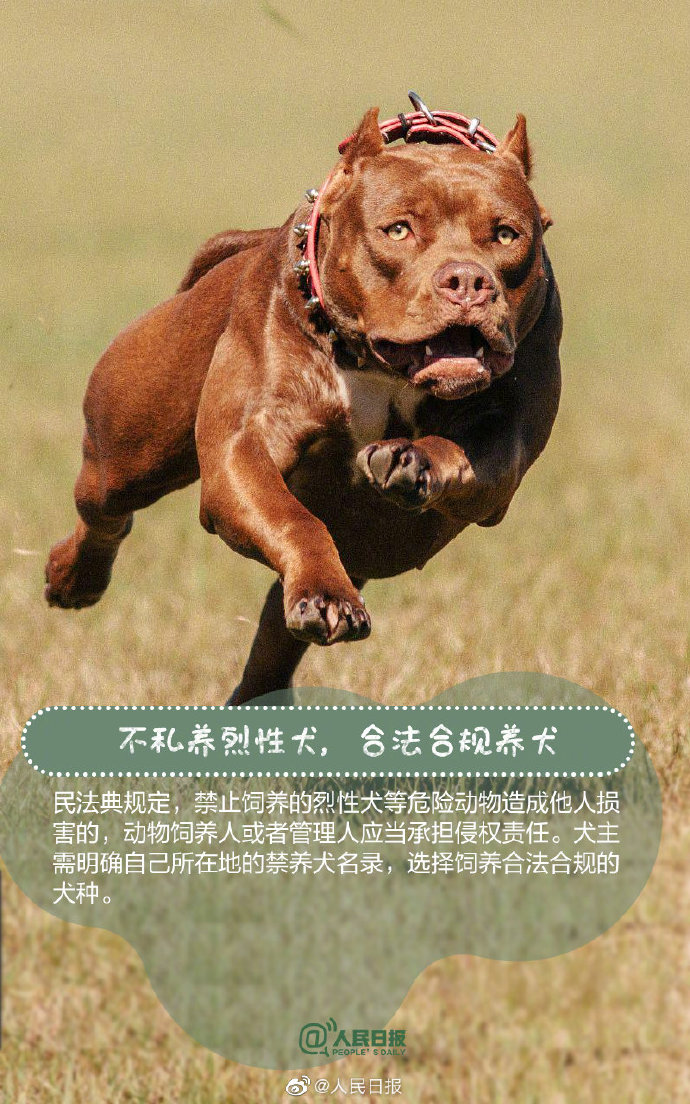 遛狗不牵绳5月1日起违法 转发呼吁做文明养犬人！