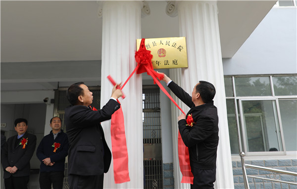 新野县法院举行少年法庭揭牌仪式