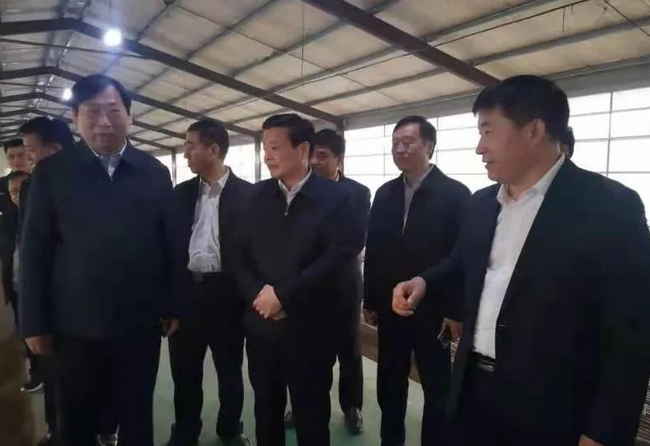 河南省农业农村厅副厅长王俊忠一行到豫东牧业调研山羊种业发展