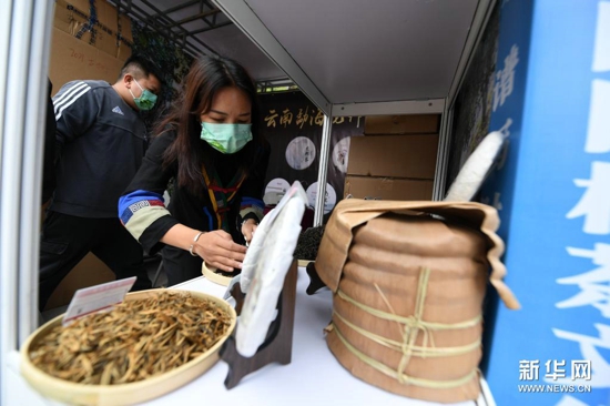 中国园林茶文化节在北京八大处开幕