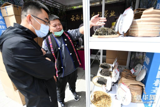 中国园林茶文化节在北京八大处开幕