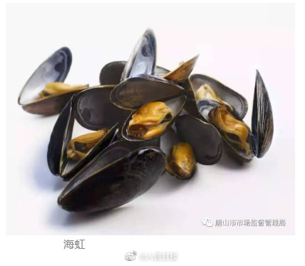河北唐山发布食用贝类安全警示 唐山提醒近期不食用野生毛蚶海虹