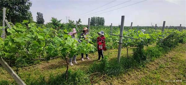 驻马店市森防站开展“为群众办实事”实践活动