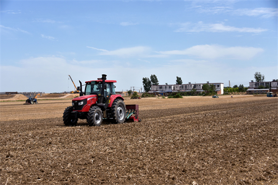 正阳县永兴镇：三夏时节抢种忙