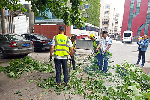 郑州街头树枝断裂存隐患，巡防队员联系相关部门处置