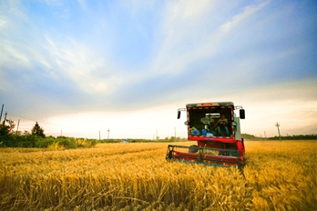 河南：中原大地麦浪滚滚