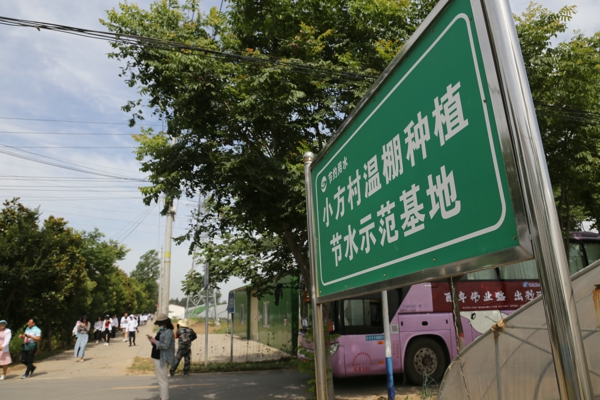 汝南县小方村：人均耕地1.2亩的村子里，藏着耕种全国的“天中麦客”大军