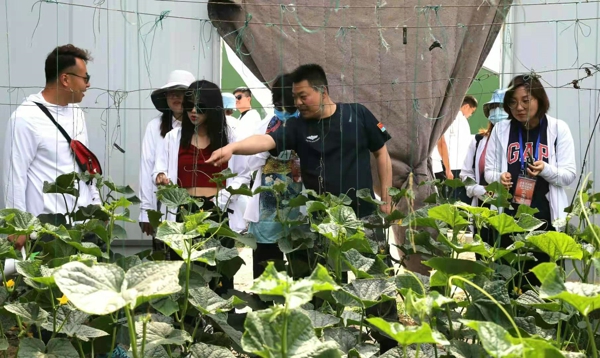 汝南县小方村：人均耕地1.2亩的村子里，藏着耕种全国的“天中麦客”大军