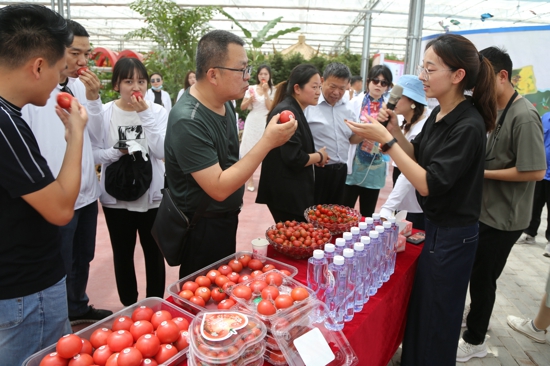 番顺西红柿：根植于农产品的现代科技创新