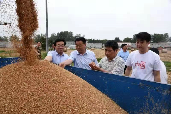 汝南县全力做好“三夏”生产 小麦已收获逾八成